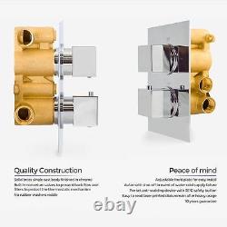 Temel Concealed Bathroom Thermostatic Mixer 2 Outlet Shower Tap