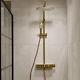 Triton Push Button Dual Head Thermostatic Bar Mixer Shower Brushed Brass